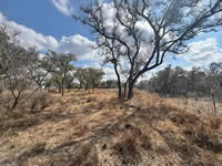 TBD Talk Ranch Rd.- Nordheim, TX 78141