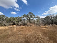 TBD Talk Ranch Rd.- Nordheim, TX 78141