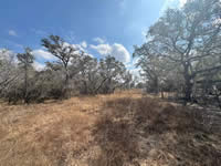 TBD Talk Ranch Rd.- Nordheim, TX 78141