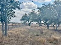 TBD Talk Ranch Rd.- Nordheim, TX 78141