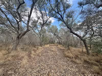 TBD Talk Ranch Rd.- Nordheim, TX 78141